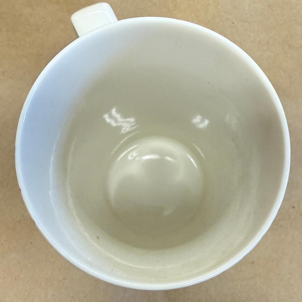 Starbucks Etched Spring Floral Lemons Tropical Mug-2015